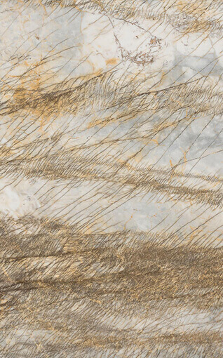 Fossil Element