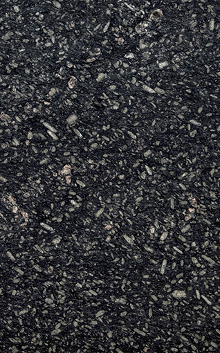 Black Pearl Giano