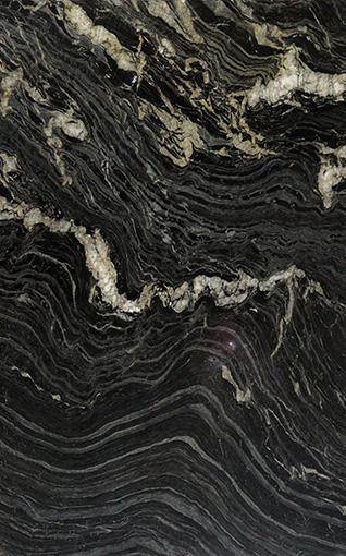 Cambrian Black
